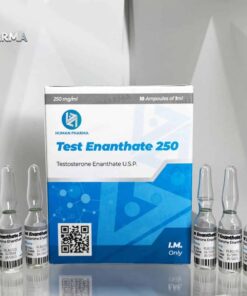 Testosterone Enanthate Buy Human Pharma in USA